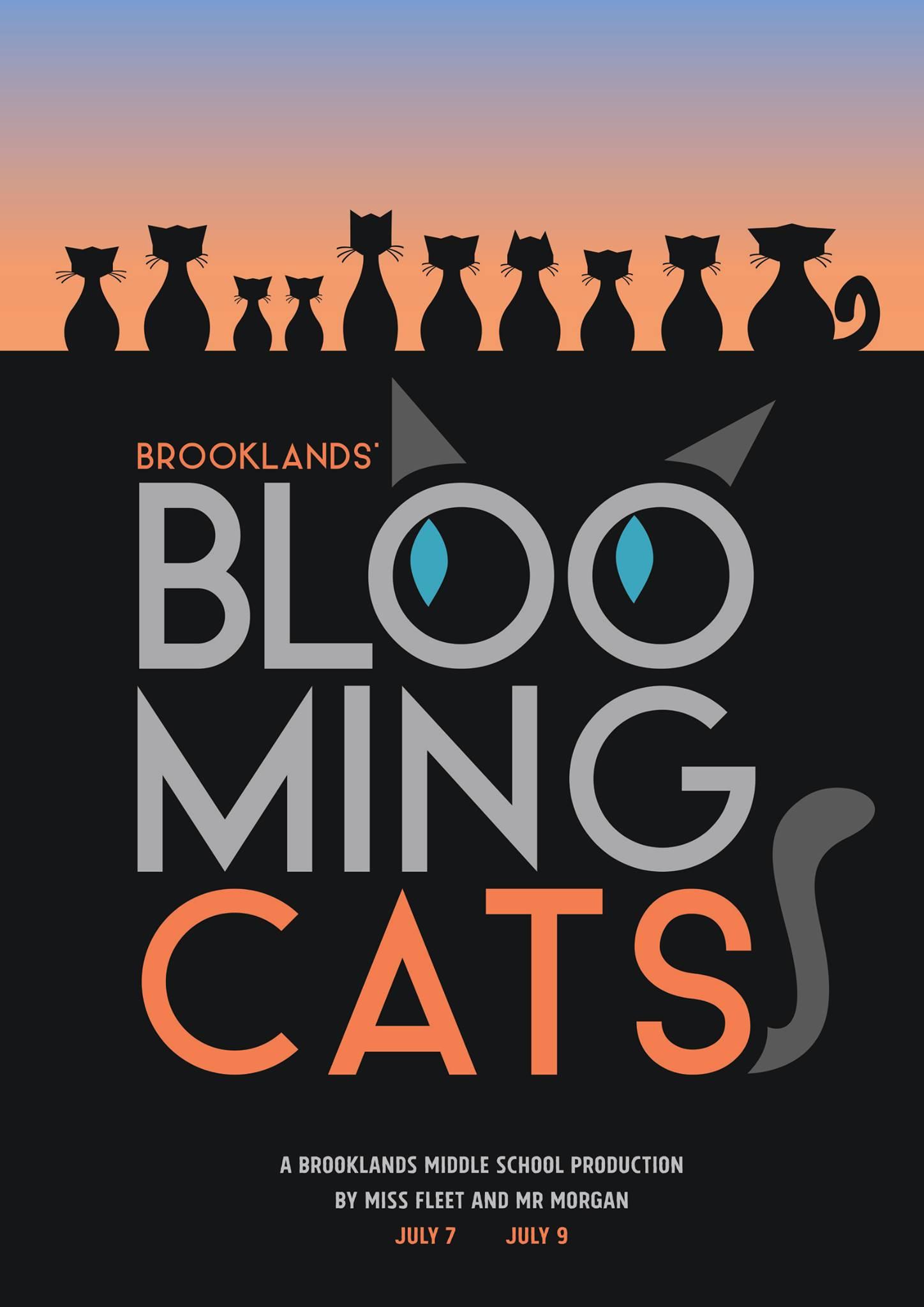 Brooklands Blooming Cats - script for a children's musical