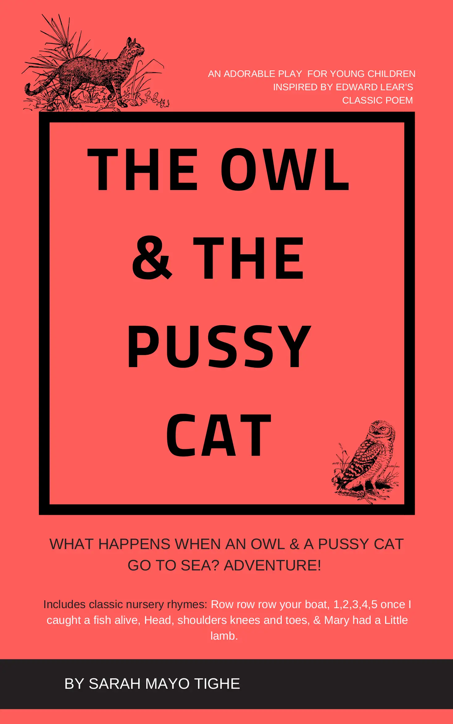 The Owl and the Pussycat - Play for Young Children aged 2 to 6